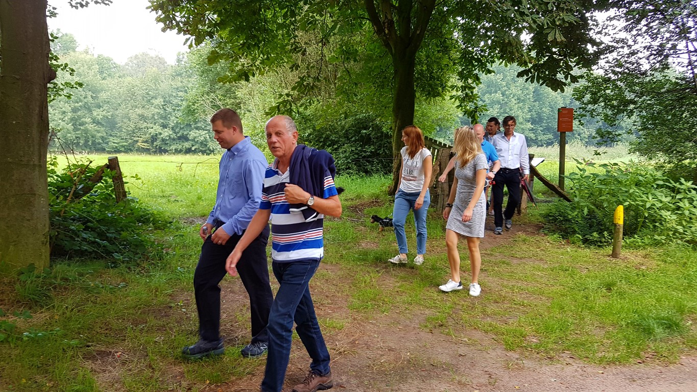 wandelen.jpg